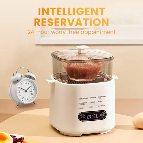 Mini Multi-Functional Egg Cooker Set with Smart Touch Panel
